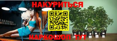 шишки Тверь