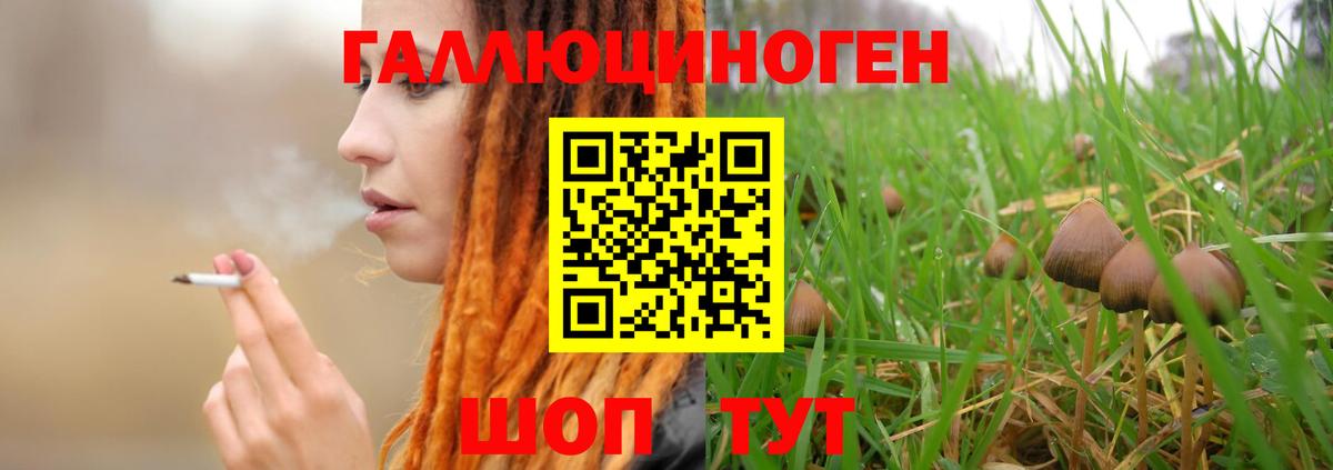 Галлюциногенные грибы Psilocybine cubensis  Вход с VPN  Назрань  Псилоцибиновые грибы прущие грибы 